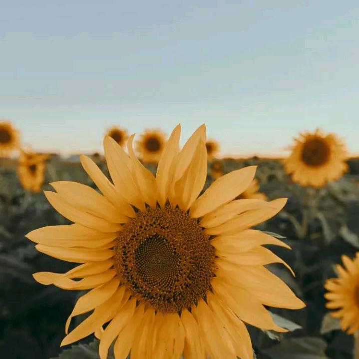 😋