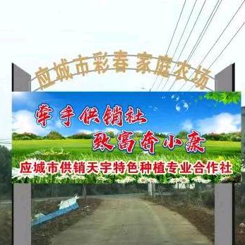 应城彩春农场