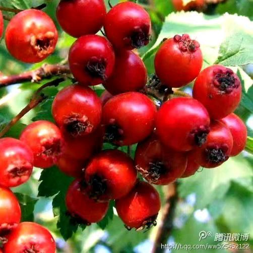 骑着蜗牛追火车