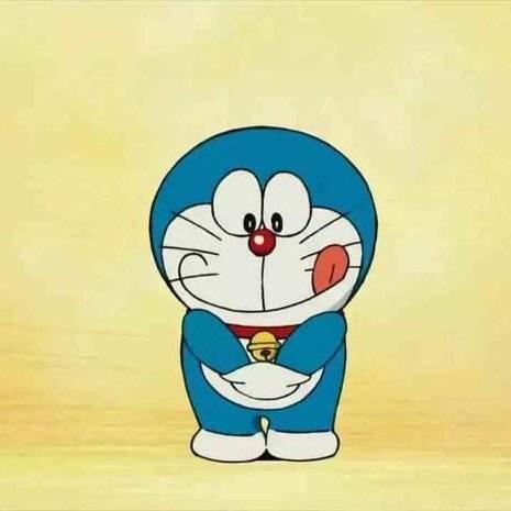 Fei 。