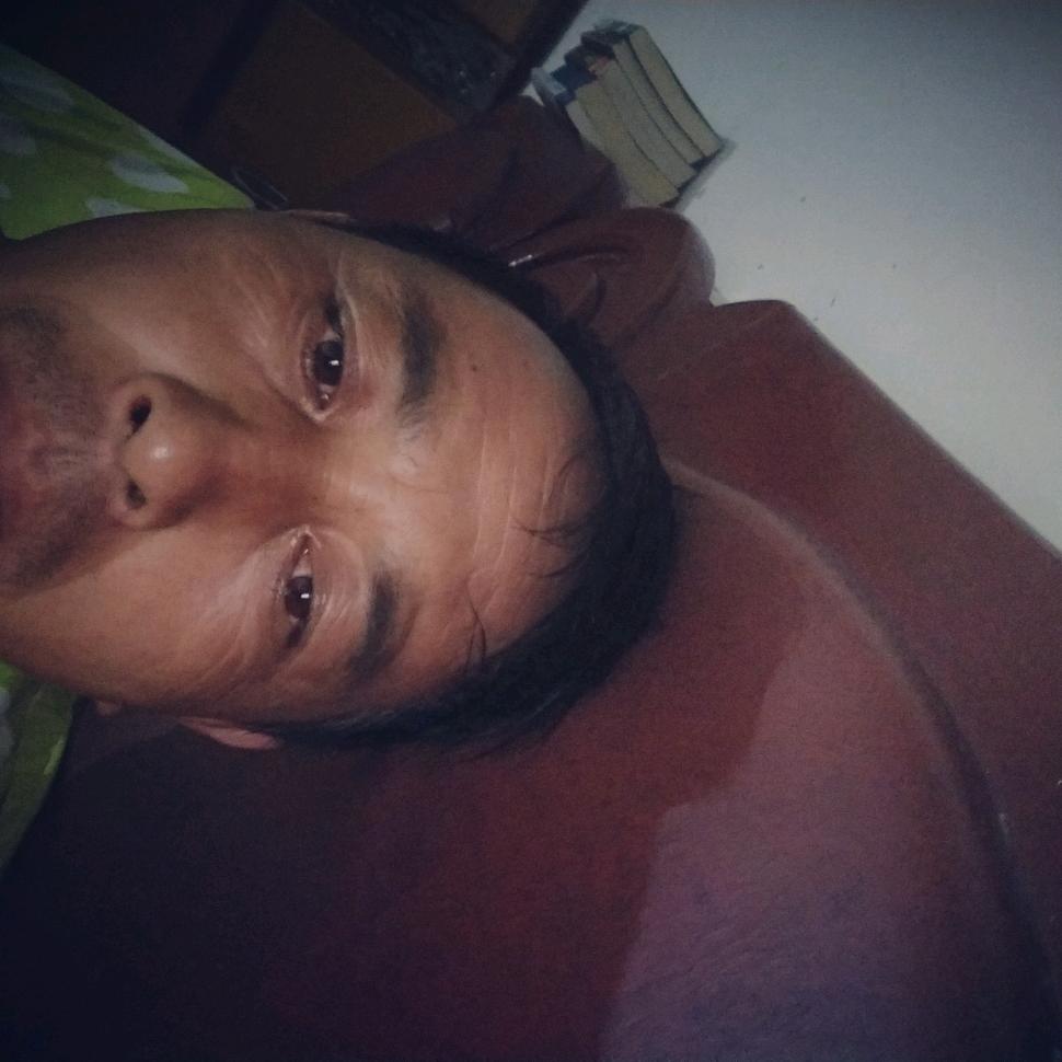 刘征