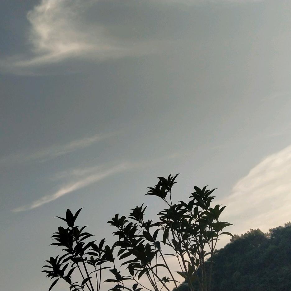 笑口常开