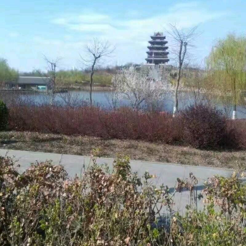 漫步人生路一钱