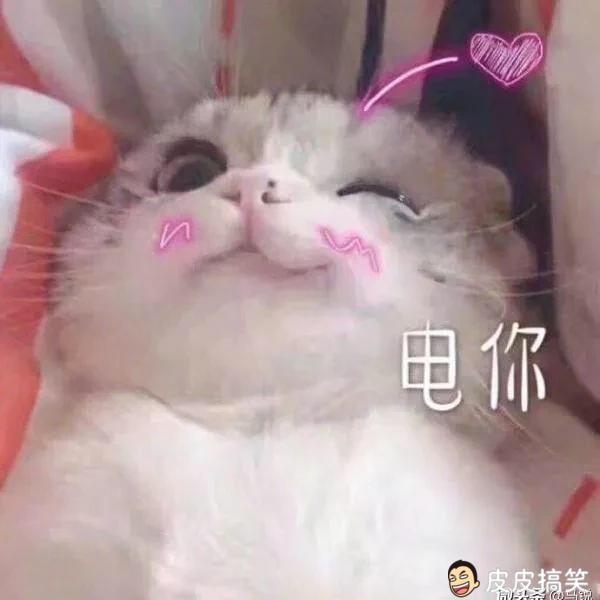 胡大大大大强