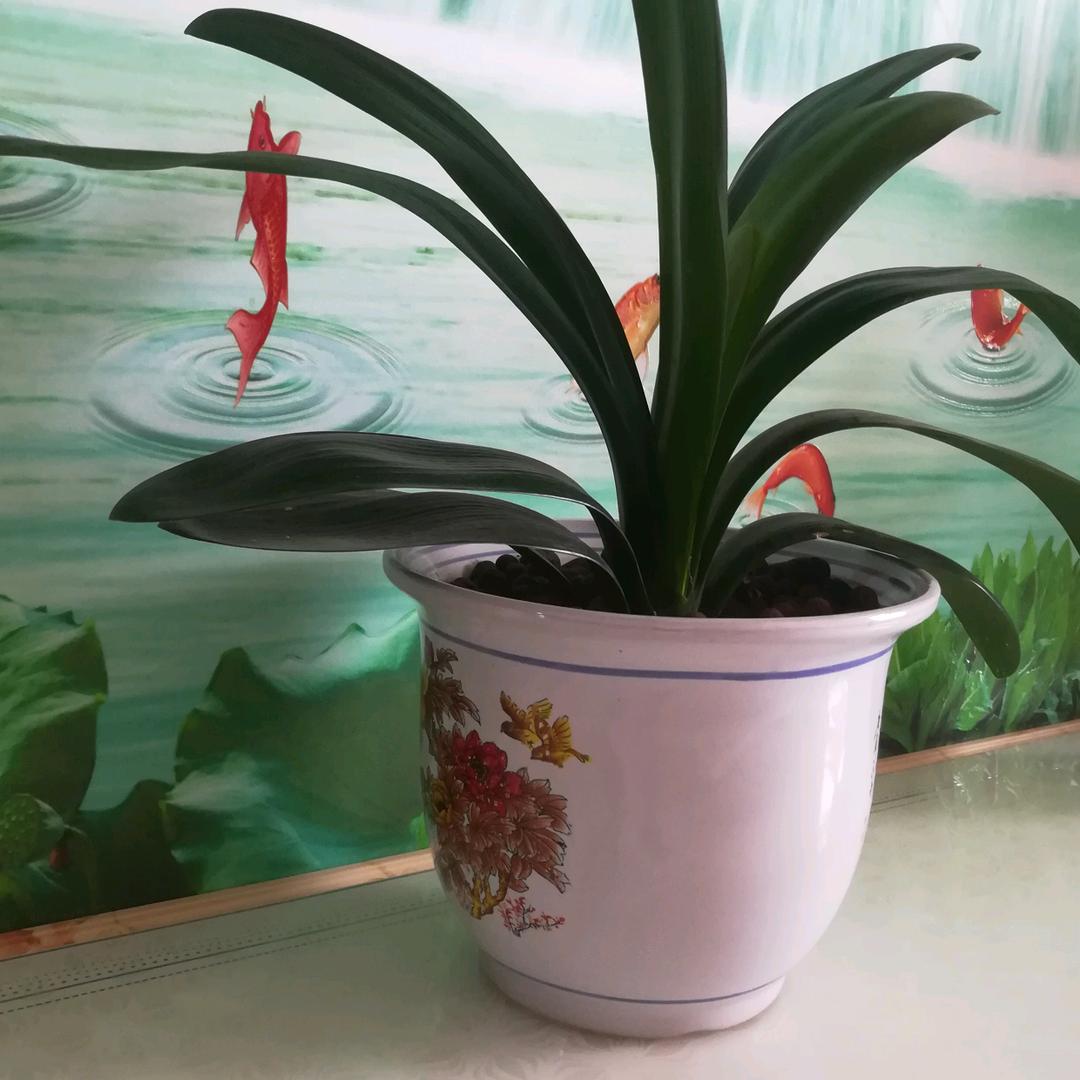 知足常乐