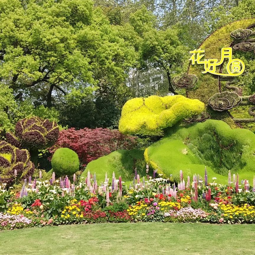 农村振哥