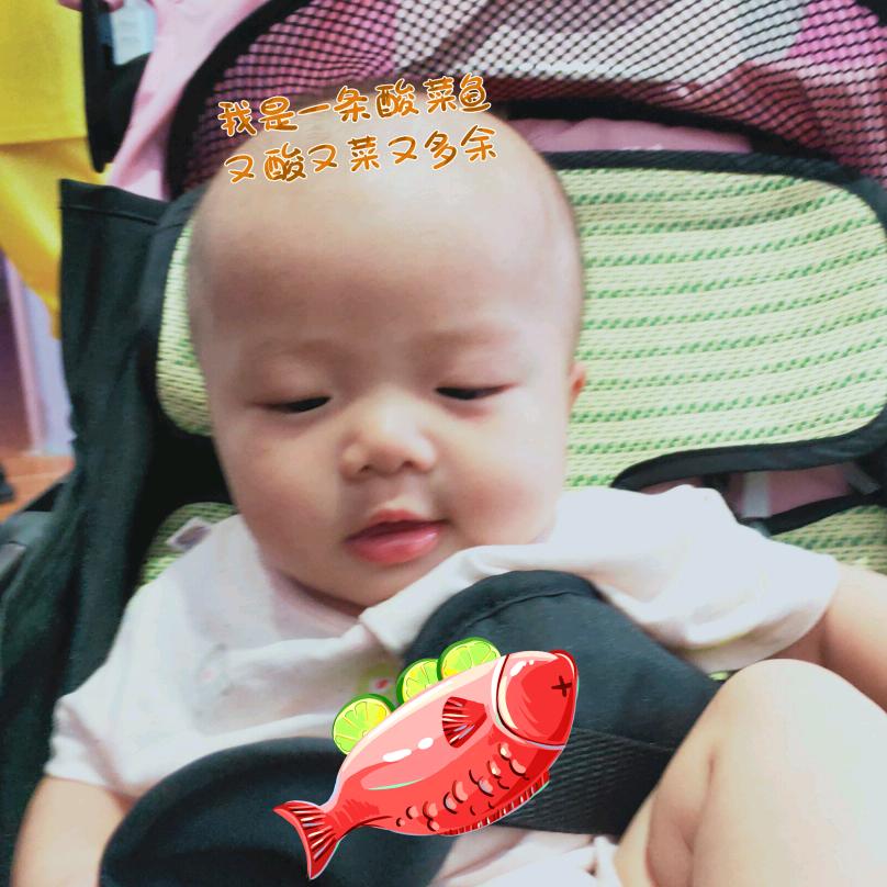 宝妈乐乐