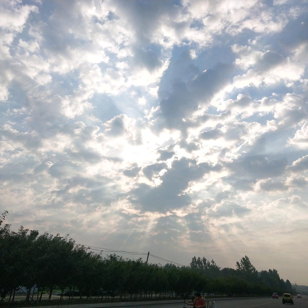 王玲