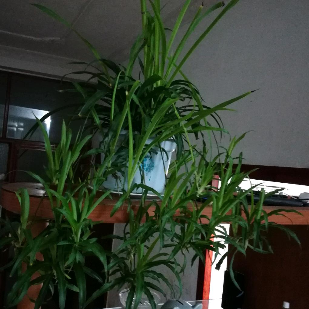 为了理想而奋斗