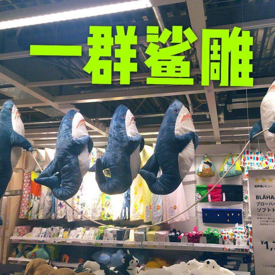 蓝爸爸不是红爸爸