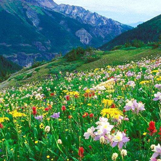 老方✌✌✌😜😝😛一开心