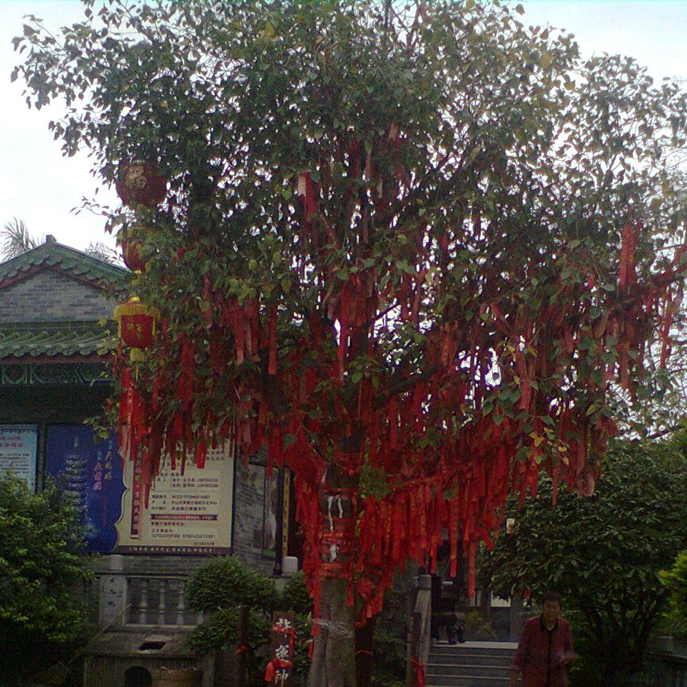 一生相伴