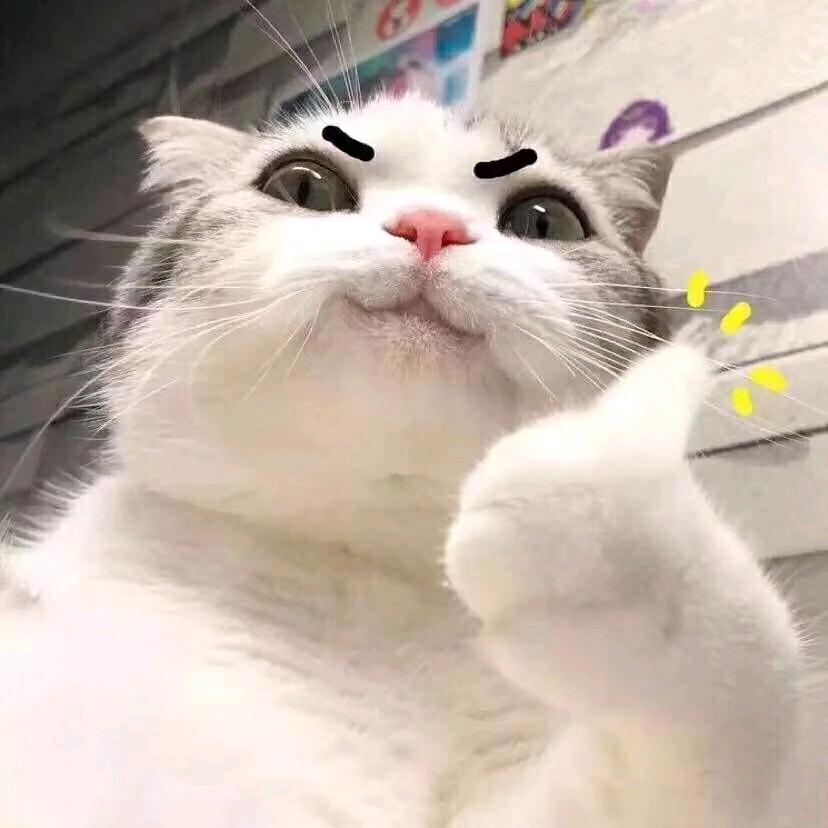 🌈呐