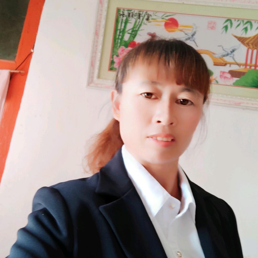 杨菊