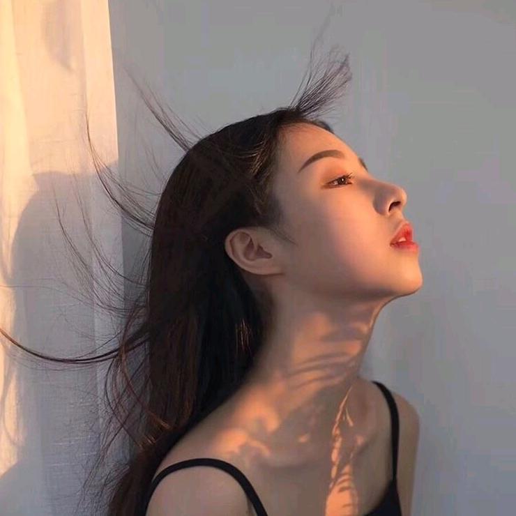 发呆呆呆合