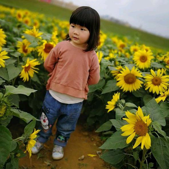 单身幸福的女人