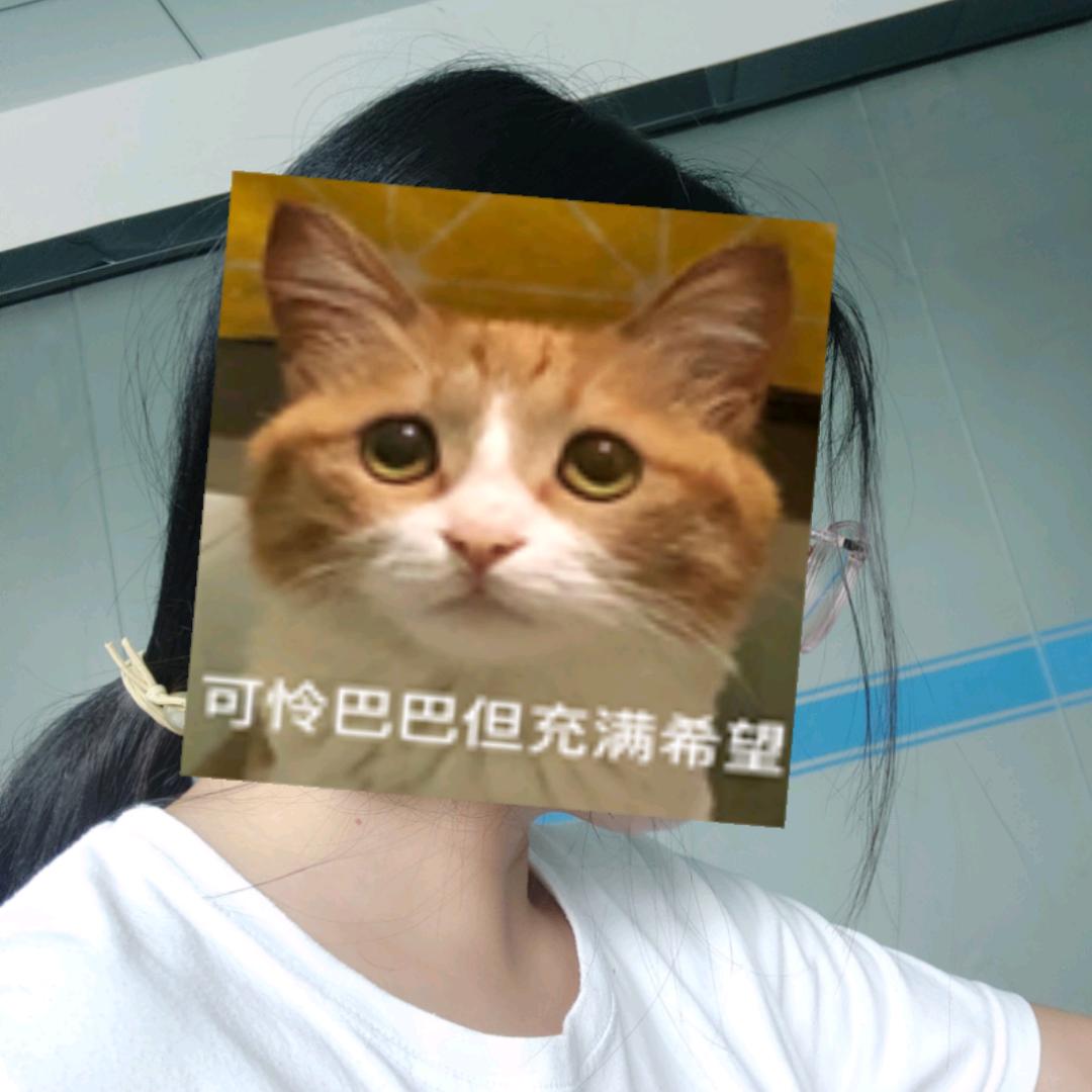 想努力奋斗的🐱