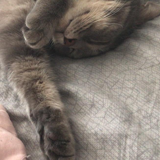 你的子弹会调头