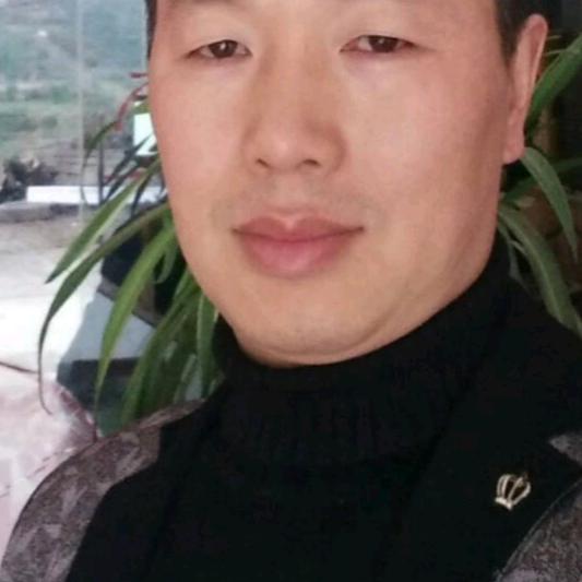 有压力才有动力