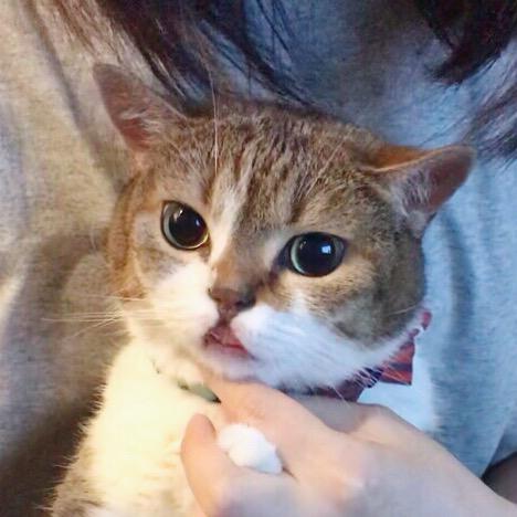 王丘丘