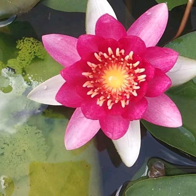 幸福一生😜😀🙂😊😃😙😄