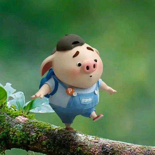 恋杨