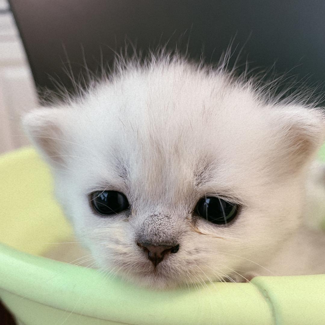 李经理