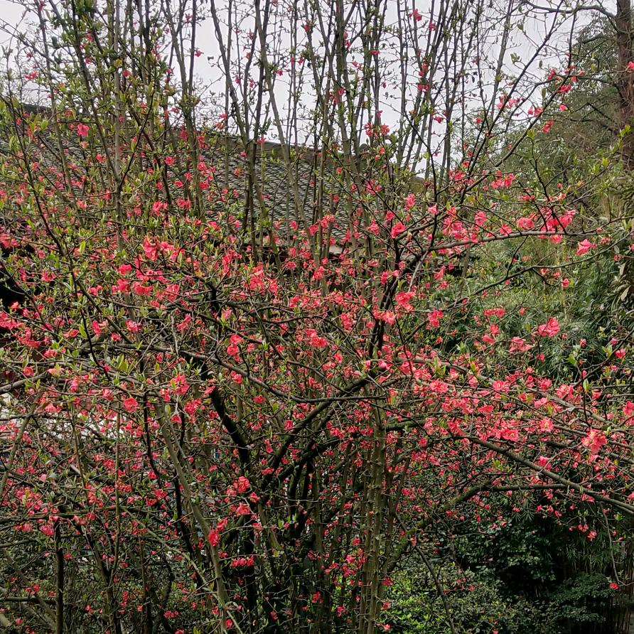 爱了多久，就恨了多久