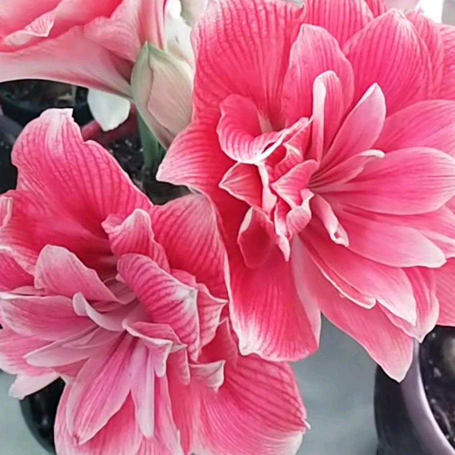 ໑ຼএ໑ຼ⁵多财多亿