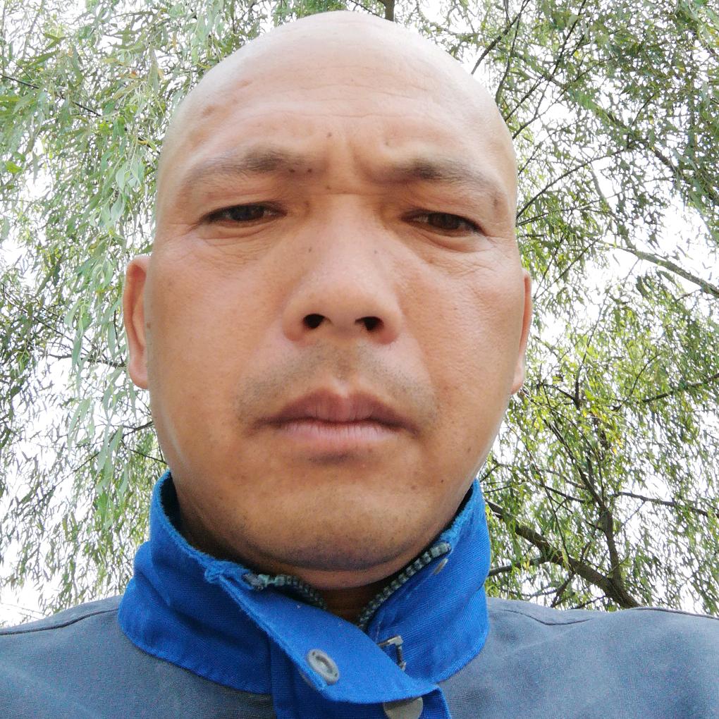 光头强