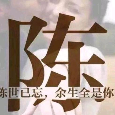 陈美文