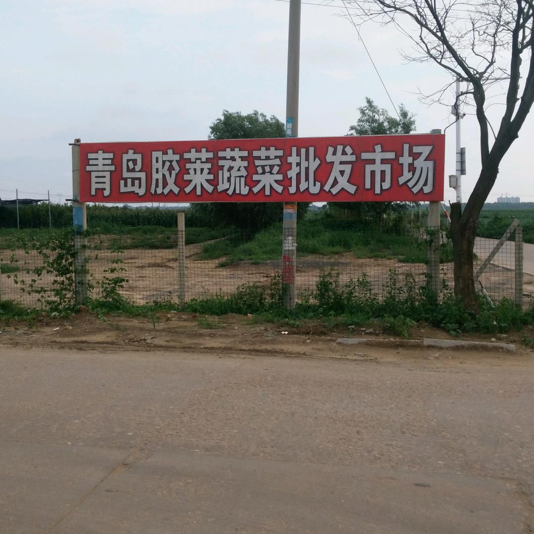 远拓蔬菜李成文