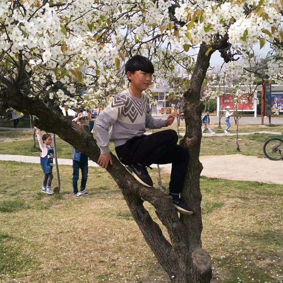 奔跑吧，少年