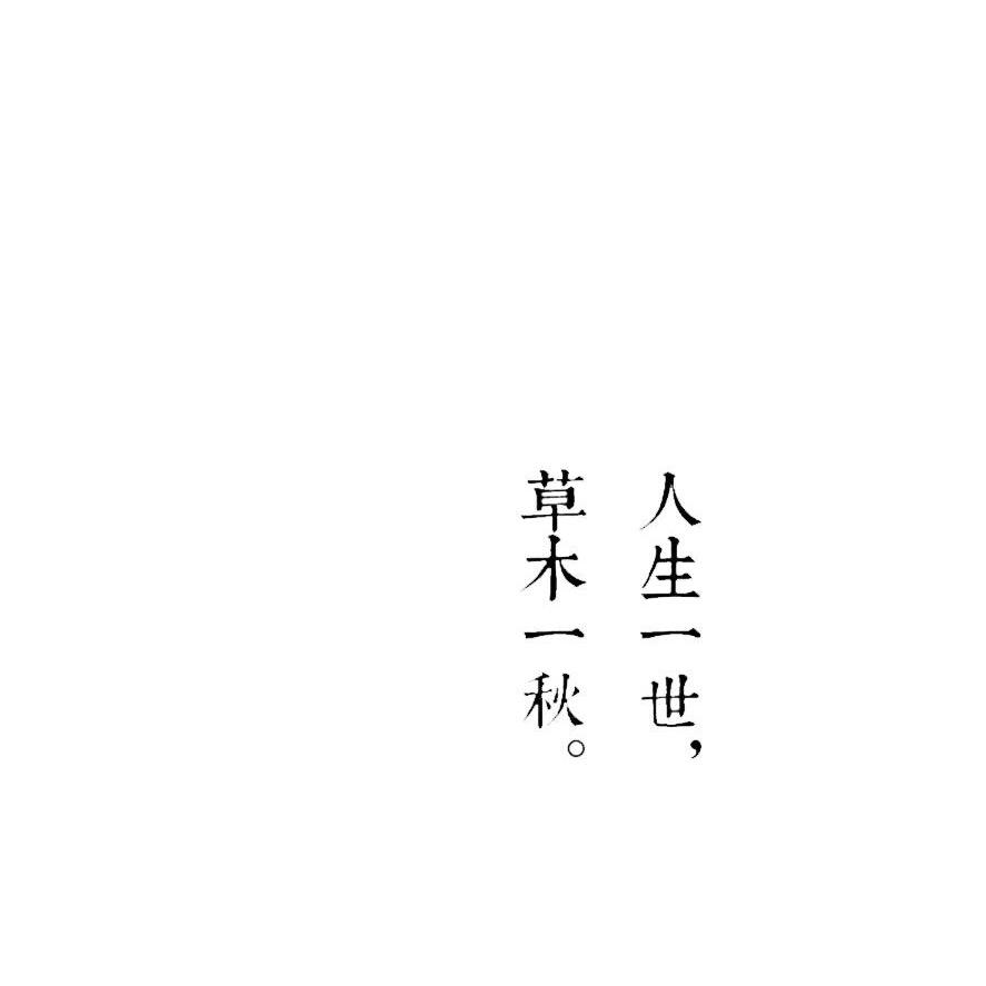 随风
