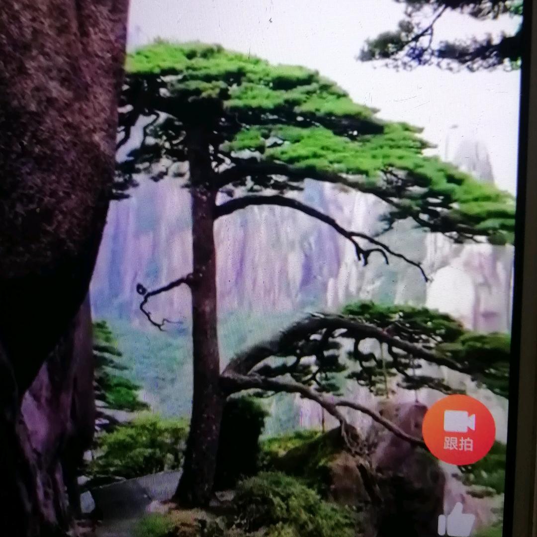 展望未来
