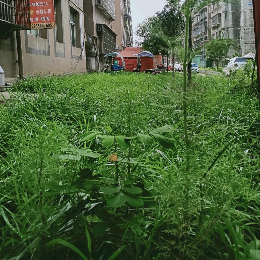 逆天改命。杨华清，钱家福