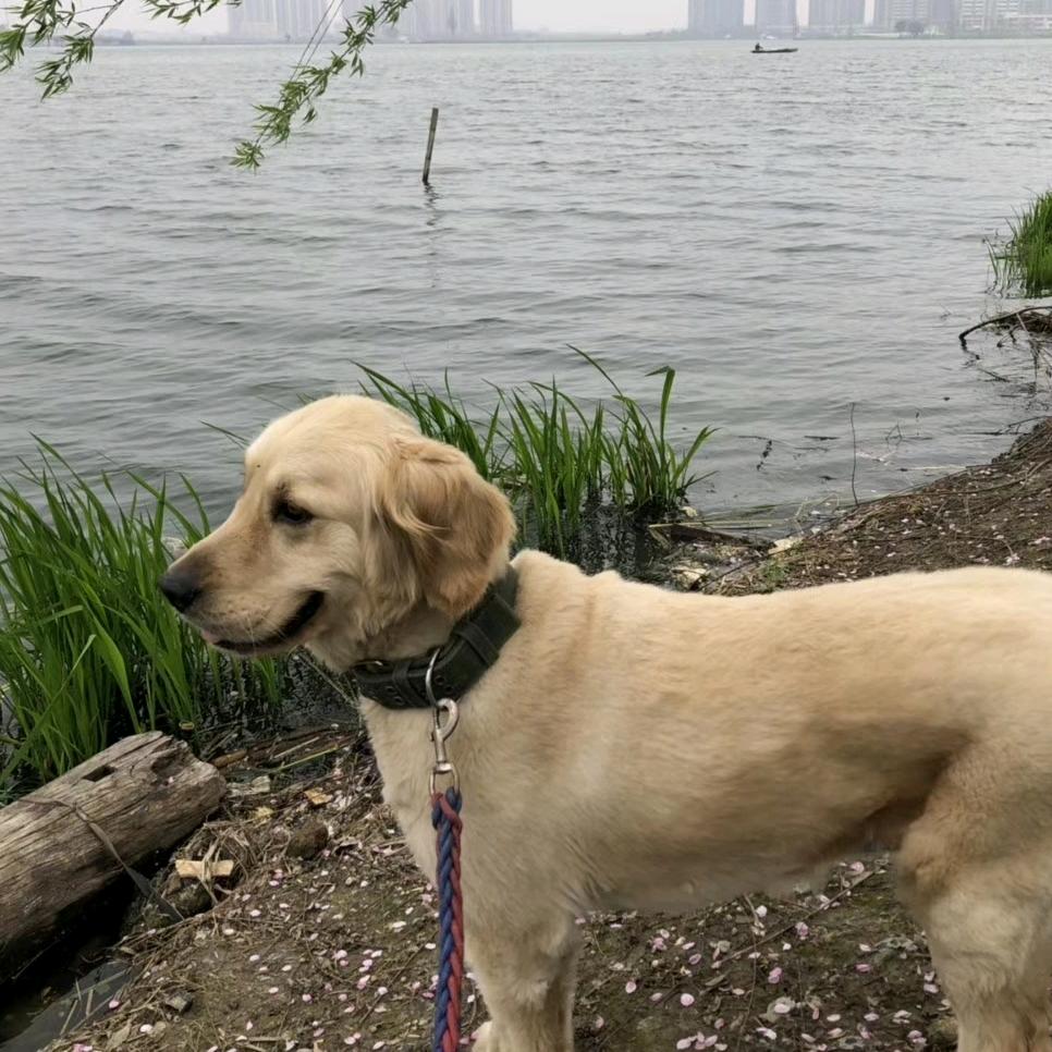 鉴湖的水