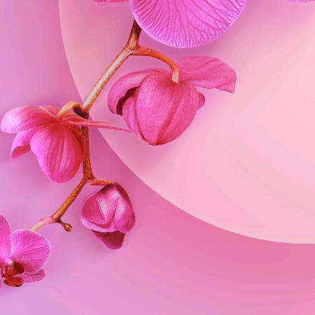 上善若水1
