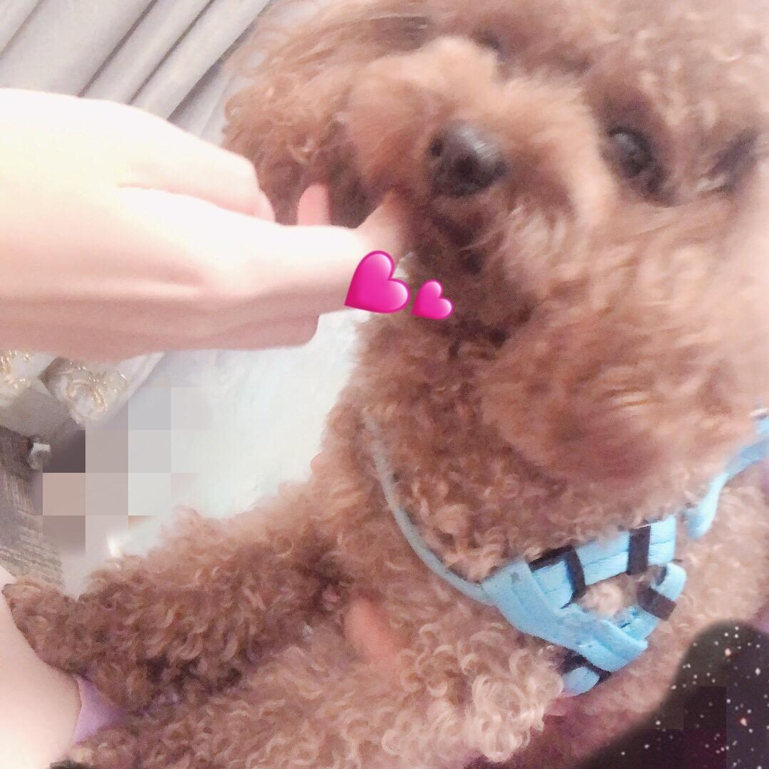 敏宝