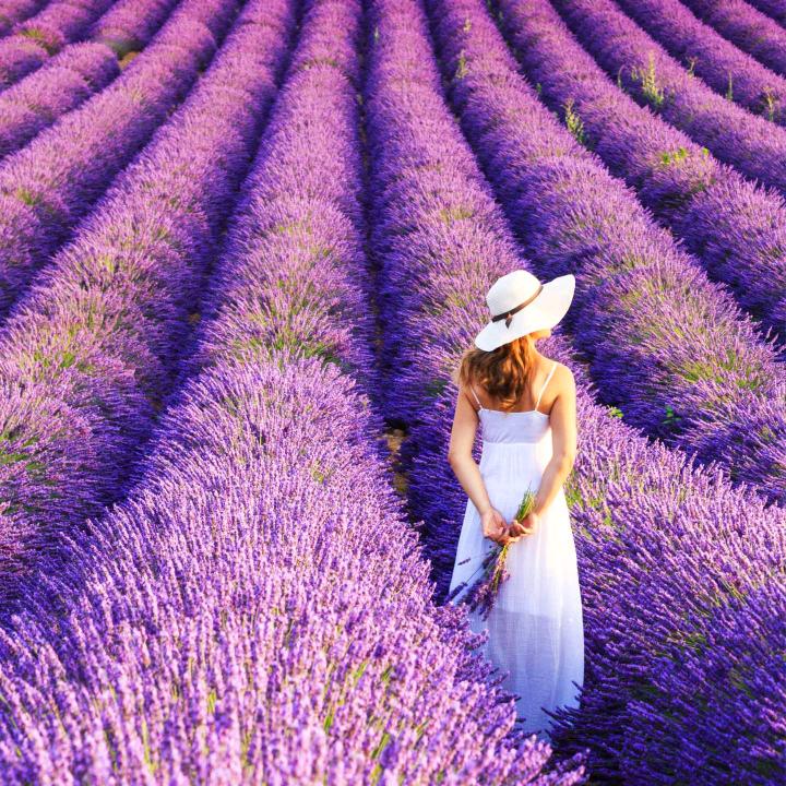 💫往事💥如烟💫