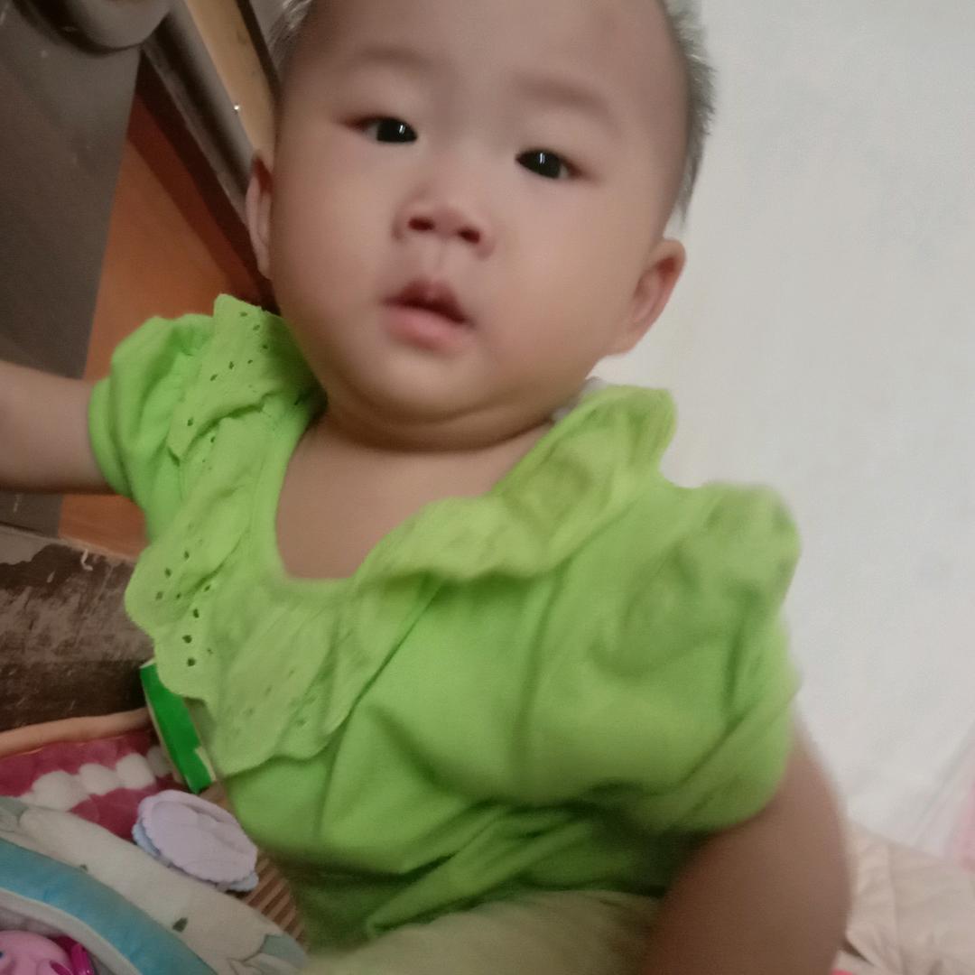 龙小陈