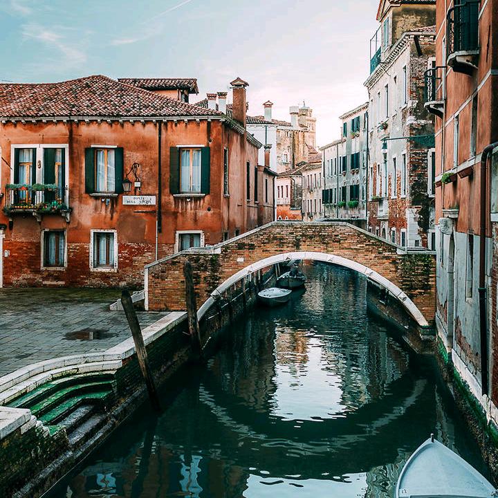 今儿个努力，老金鸡蛋在成都