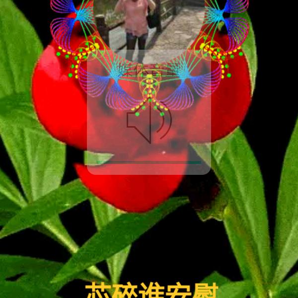 芯碎谁安慰