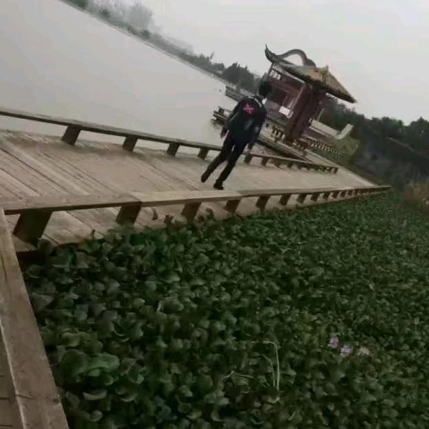 .ℒℴѵℯ四·野ꦿ໊ོﻬ°