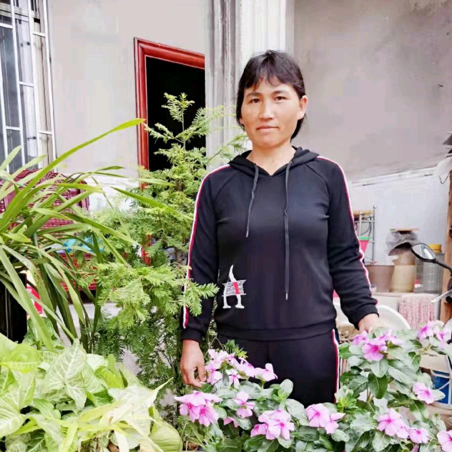 芬芳岁月
