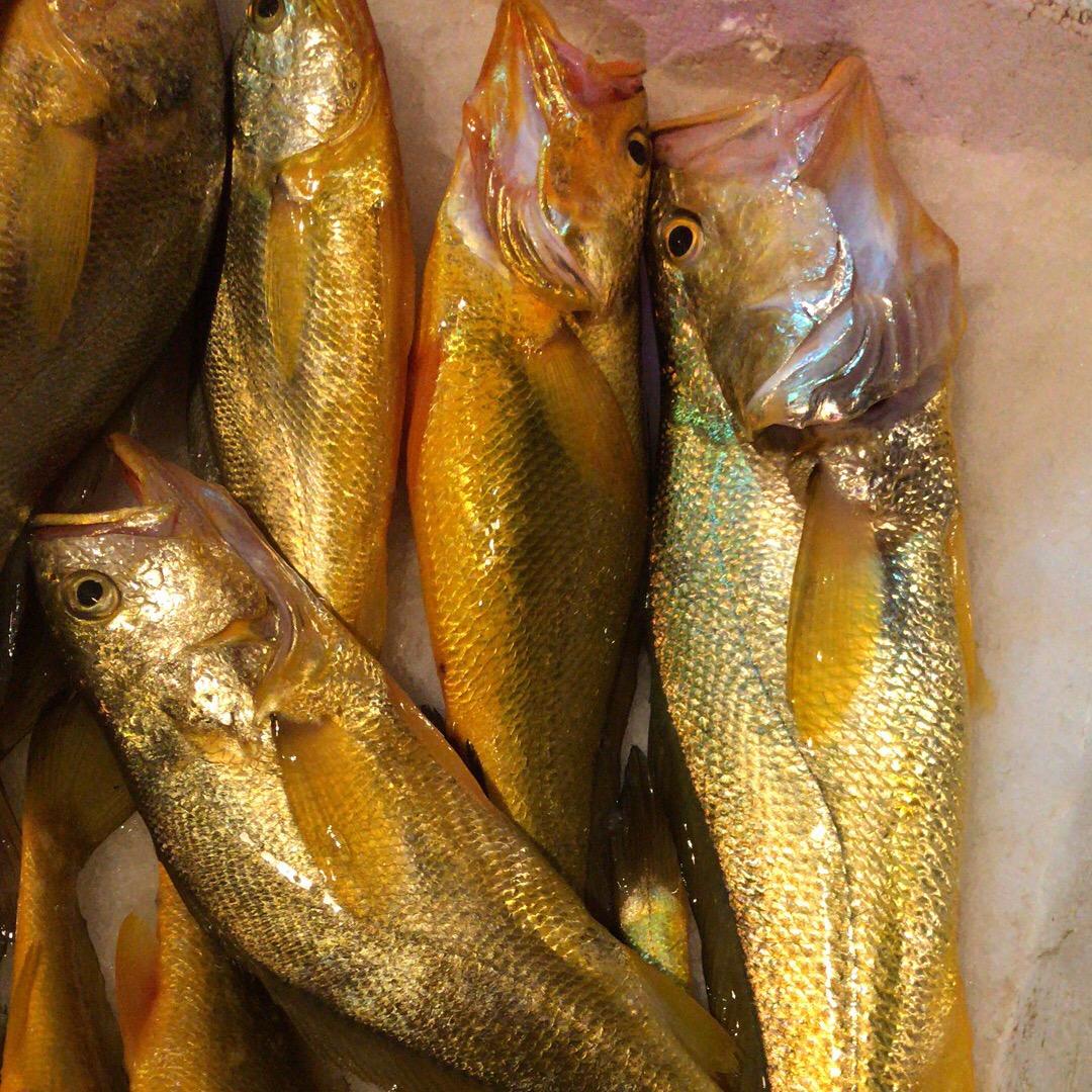 八市阿莲海鲜（野生黄花鱼)