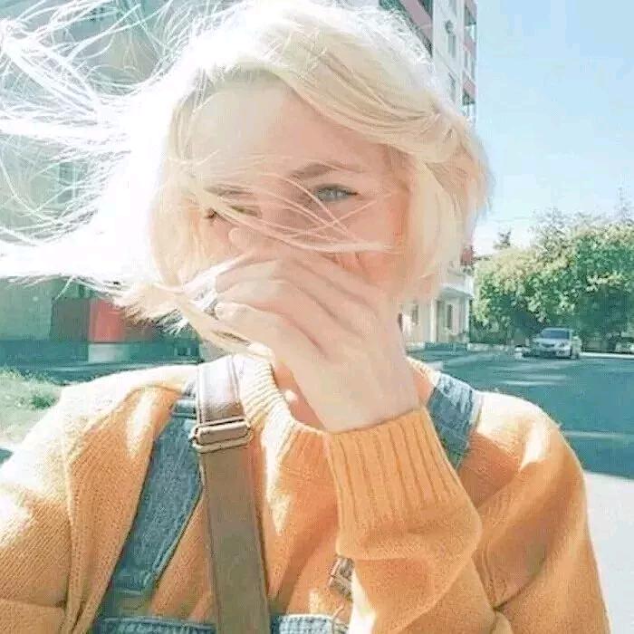 如果世上不再有猫