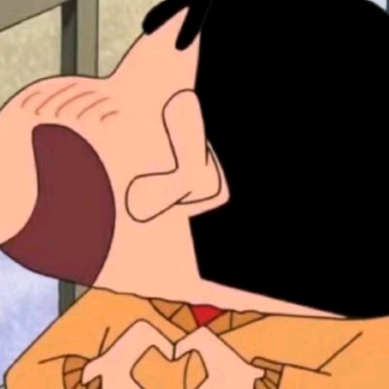 爱吃雪花酪的🐷