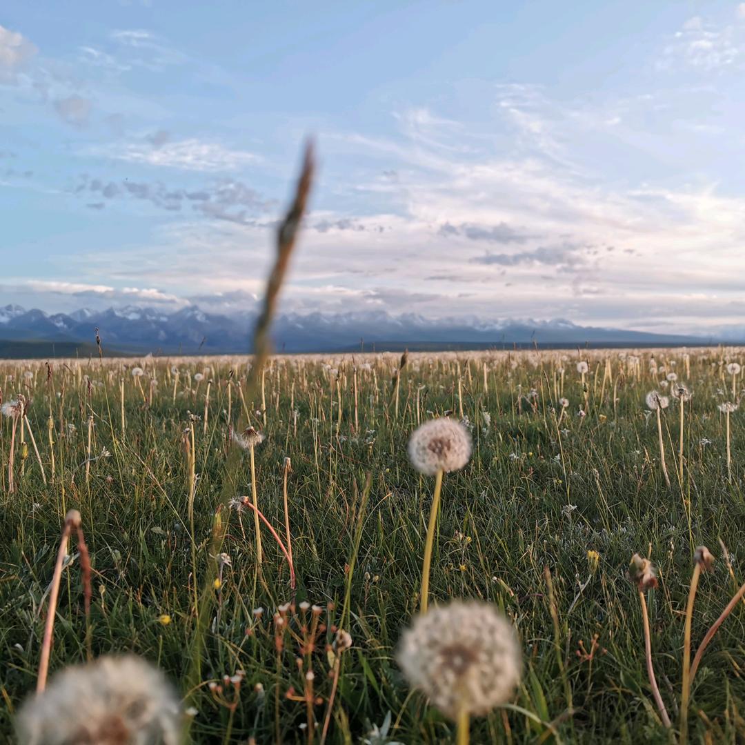 什么名字最好用