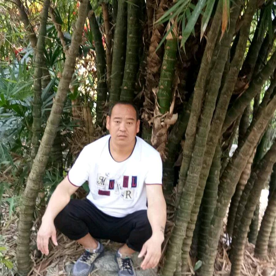 A华仔